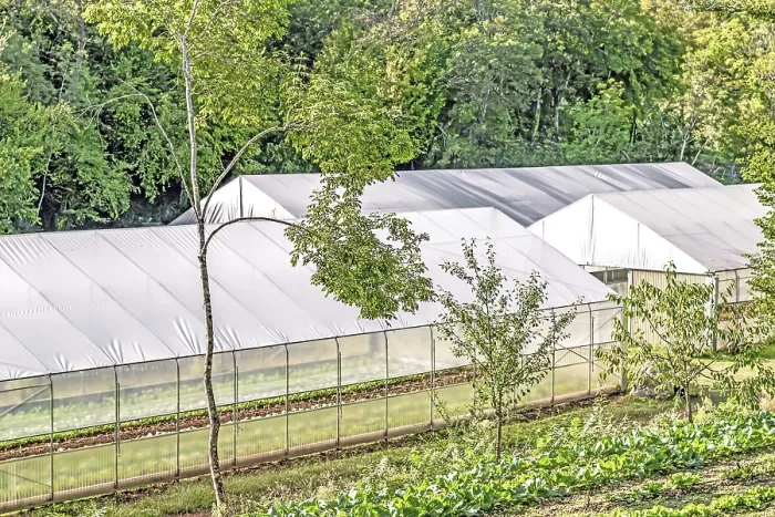 Framed Print : Large agricultural greenhouse in Casalvieri