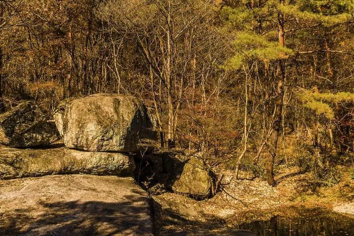 Framed Print : Large boulder in front of tree line beside pool of water in wilderness park Framed Print : Large boulder in front of tree line beside pool of water in wilderness park