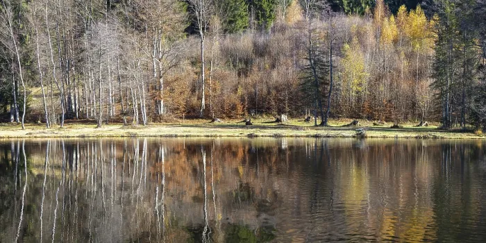 Framed Print : Late autumn, water reflection in moor pond Framed Print : Late autumn, water reflection in moor pond