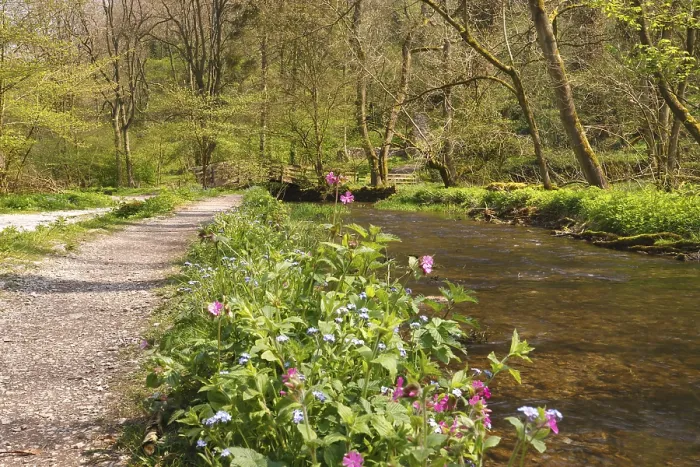 Framed Print : Lathkill Dale, Peak District National Park Framed Print : Lathkill Dale, Peak District National Park