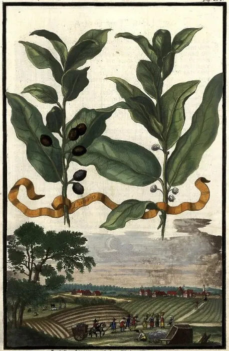 Framed Print : Lauro and landscape near Munghof