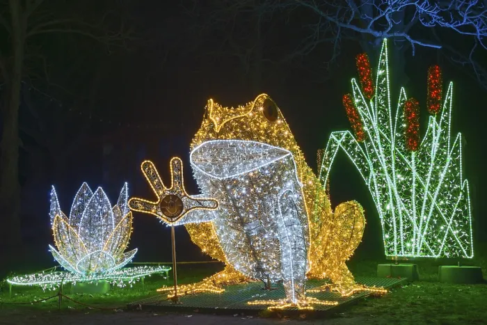 Framed Print : Le Frog, luminous frog, world of lights
