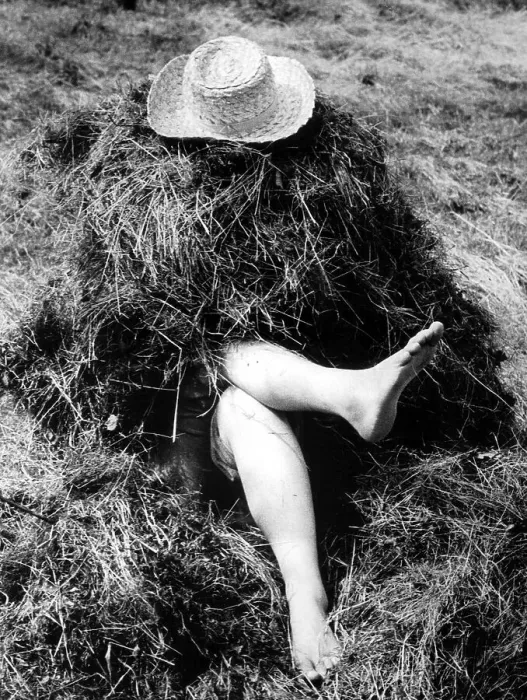 Framed Print : Legs sticking out of haystacks approx Framed Print : Legs sticking out of haystacks approx
