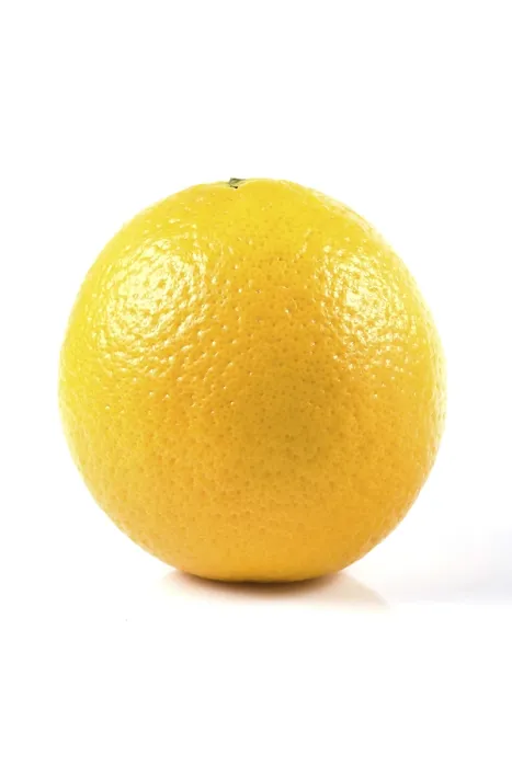 Framed Print : Lemon fruit, mumbai, maharashtra, india, asia
