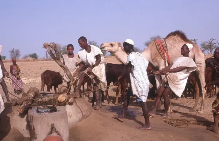 Framed Print : Life in the Sahel region of northern Nigeria, west Africa, early 1980s - men drawing water from a well Framed Print : Life in the Sahel region of northern Nigeria, west Africa, early 1980s - men drawing water from a well