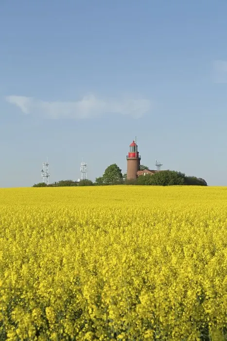 Framed Print : Lighthouse Buk with flowering rape field Framed Print : Lighthouse Buk with flowering rape field