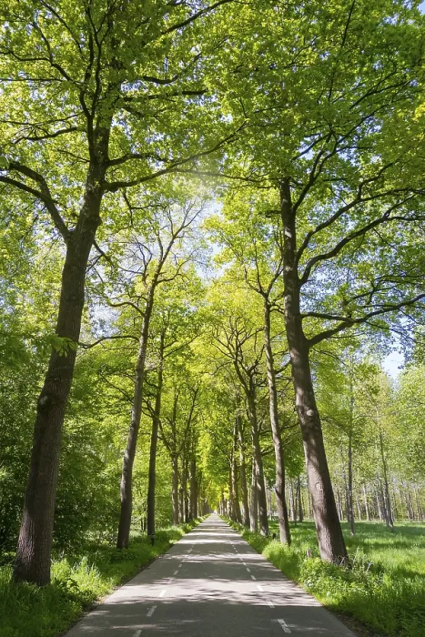 Framed Print : Limbricht, Limburg, Netherlands