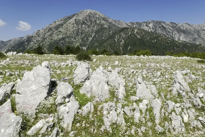 Framed Print : Limestone and karst in Llogara