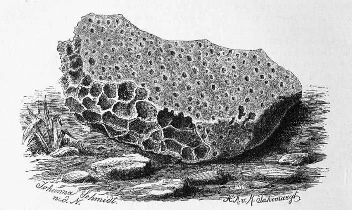 Framed Print : Limestone perforated by the boring sponge
