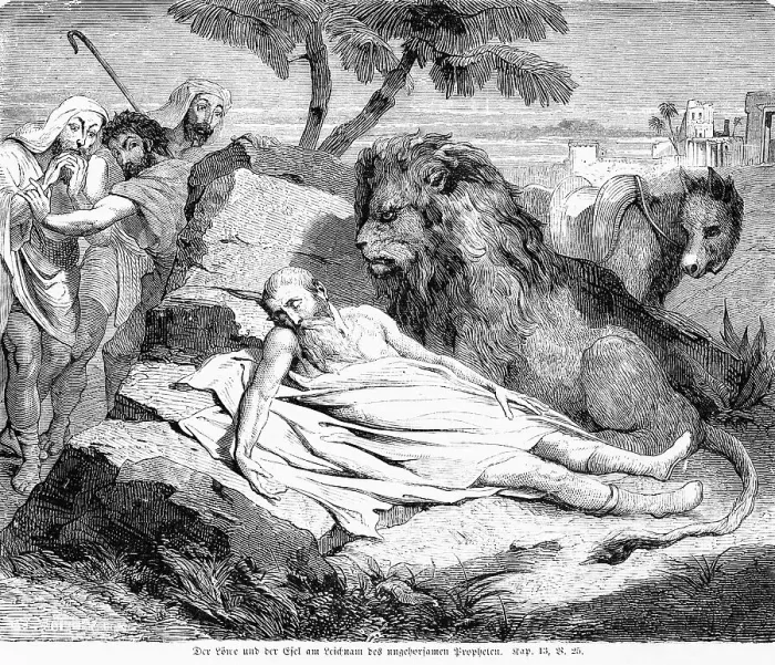 Framed Print : The Lion and the Donkey at the Body of the Disobedient Prophet Framed Print : The Lion and the Donkey at the Body of the Disobedient Prophet