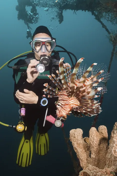 Framed Print : Lionfish at the Mbike Wreck (Pterois volitans)