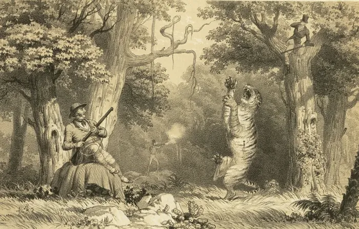 Framed Print : Lithographs tiger hunting, India, Asia