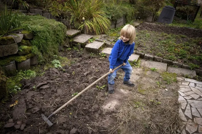 Framed Print : Little boy, 6 years, blonde, gardening