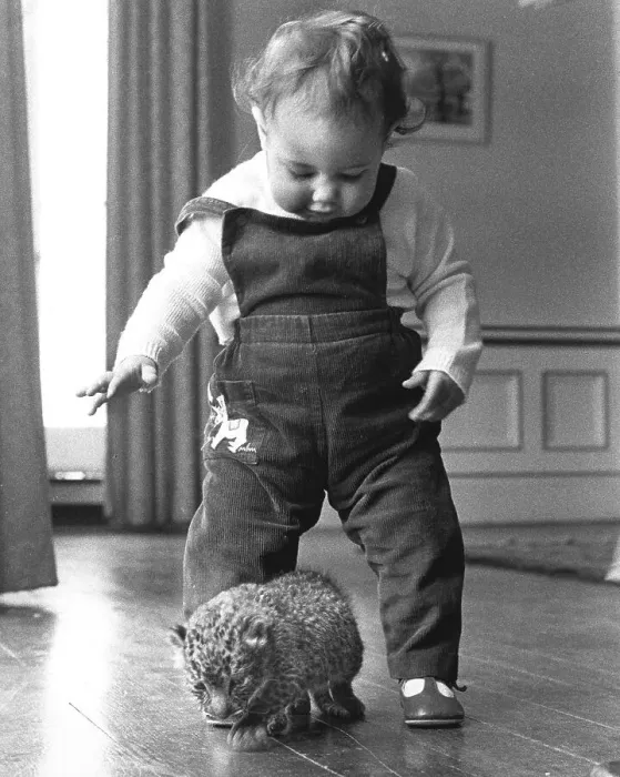 Framed Print : Little boy playing with baby predator