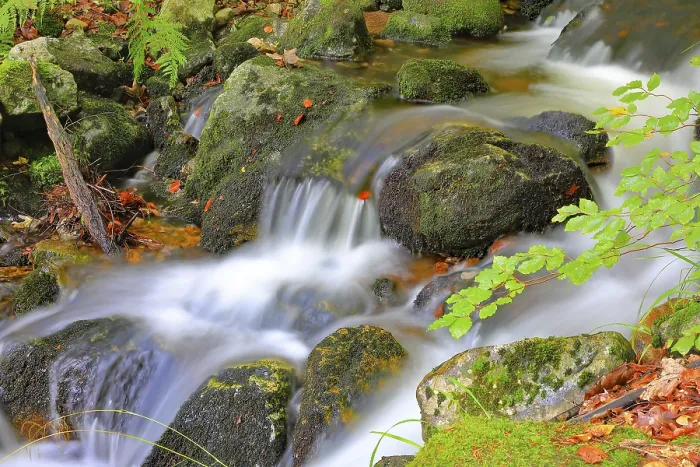 Framed Print : Little brook in the forest, long exposure