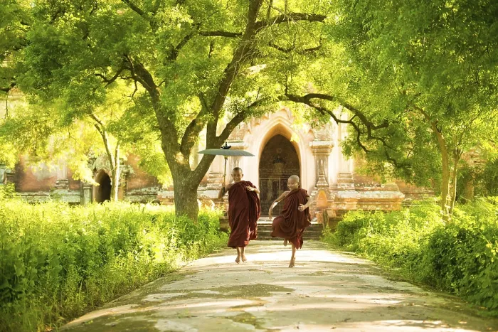 Framed Print : Two little Buddhist novice monks running outdoors under shade of green tree