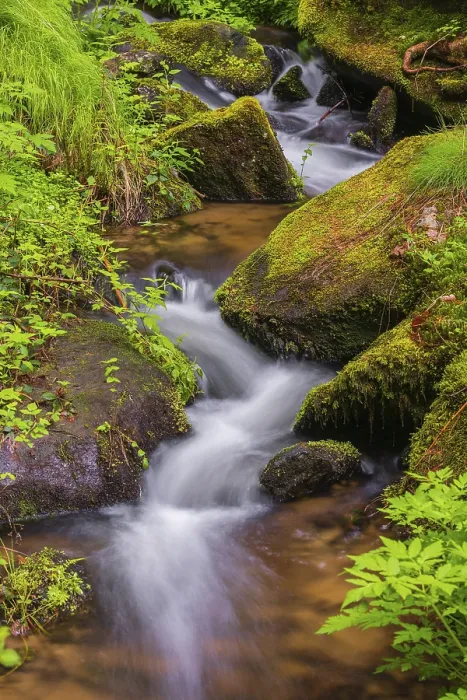 Framed Print : Little creek in the Bavarian Forest Nationalpark