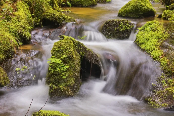 Framed Print : Little creek in the Bavarian Forest Nationalpark Framed Print : Little creek in the Bavarian Forest Nationalpark