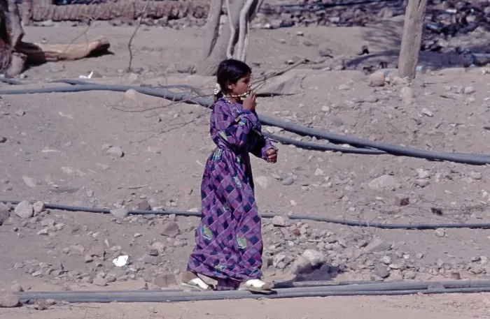 Framed Print : Local girl, Feiran Oasis, Sinai Peninsula, Egypt, September 1989, vintage, retro, old, historical, Africa