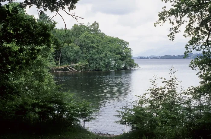 Framed Print : Loch Lomond