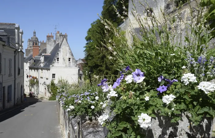 Framed Print : Loches, France, old town, house