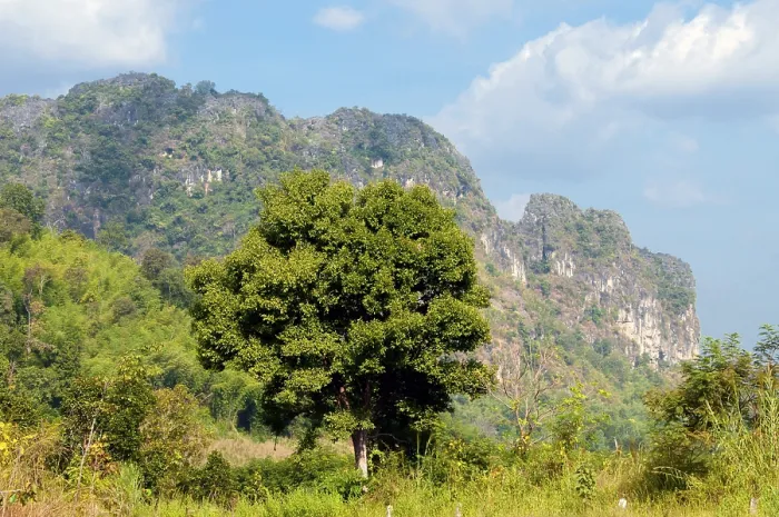 Framed Print : Loei (Thai: เลย) Province is located in Thailand's upper North-East