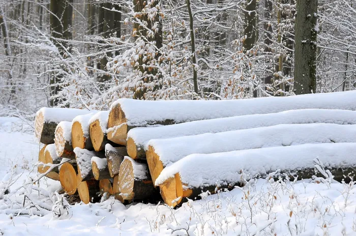 Framed Print : Log store in the winter forest with snow
