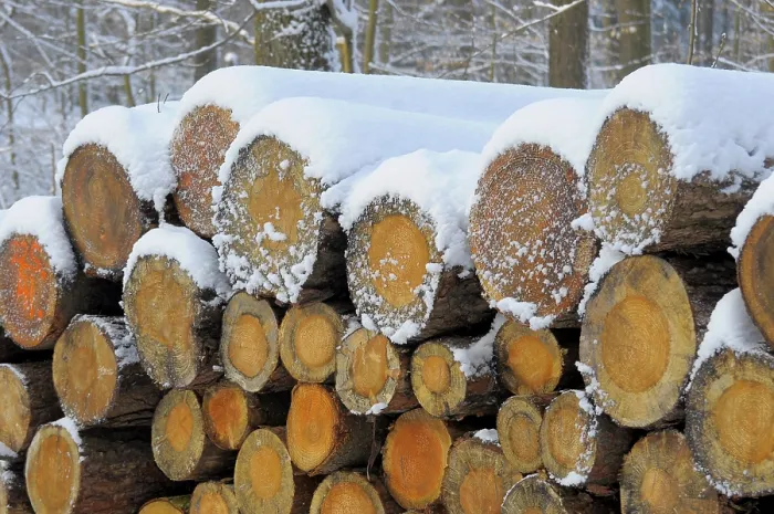 Framed Print : Log store in the winter forest with snow