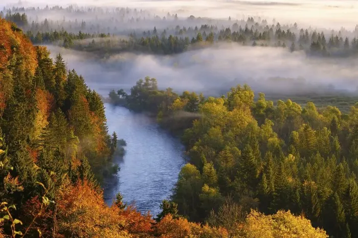 Framed Print : Loisach estuary into the Isar, Pupplinger Au at sunrise