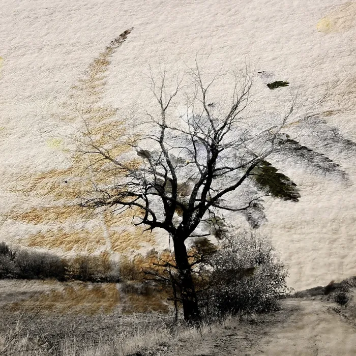 Framed Print : A lone tree rises amid a barren winter landscape in Auvergne