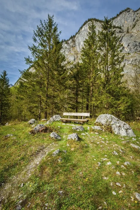 Framed Print : Lonely bench in forest, Germany, Europe