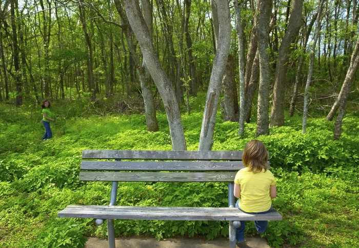 Framed Print : Lonely children sad looking the forest girl sitting at the park bench Framed Print : Lonely children sad looking the forest girl sitting at the park bench