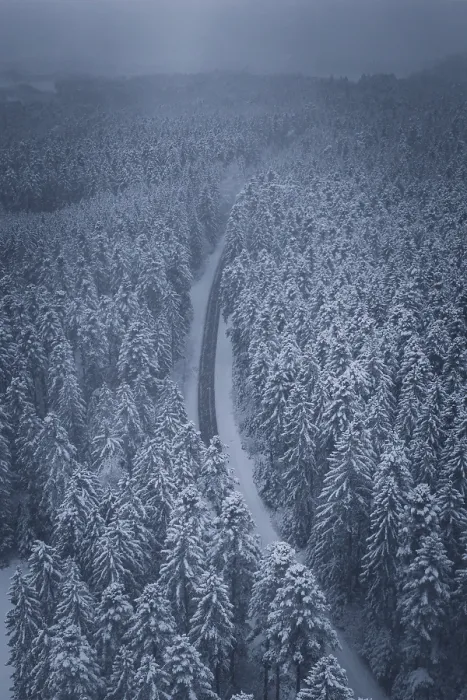 Framed Print : Long, snowy road in a thick winter forest Framed Print : Long, snowy road in a thick winter forest