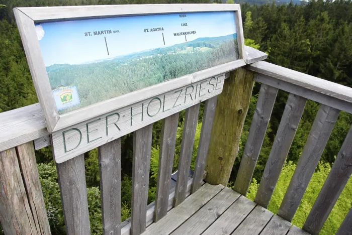 Framed Print : Longest treetop path of the world Framed Print : Longest treetop path of the world