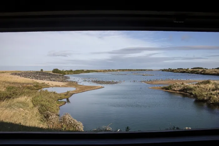 Framed Print : Looking north from the Sanctuary hide at RSPB Snettisham over oystercatchers