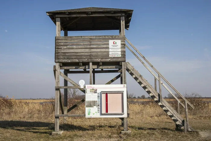 Framed Print : Lookout point, Seewinkel National Park