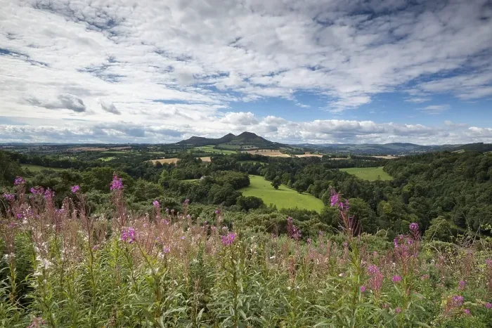 Framed Print : Lookout, Scott's View, St Boswells