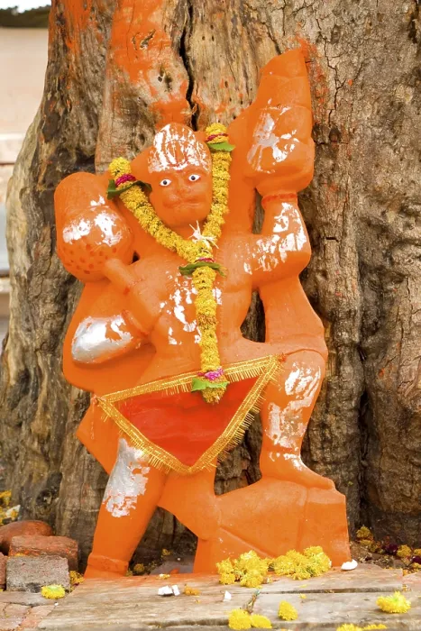 Framed Print : Lord hanuman monkey god, India