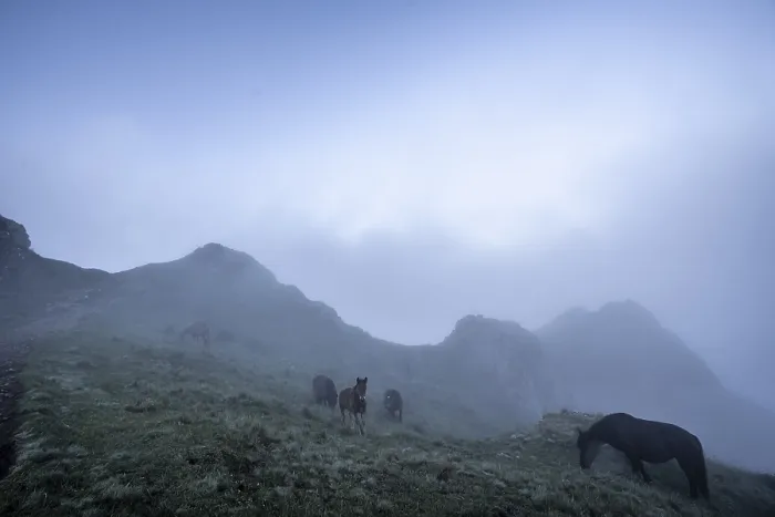Framed Print : Top with a lot of fog of the Penas de Aya mount or also called Aiako Harria