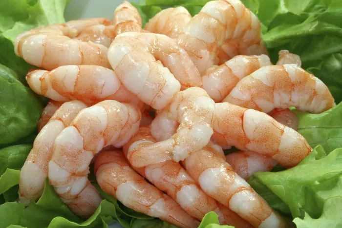 Framed Print : Lots of raw prawns on lettuce leaves on a plate Framed Print : Lots of raw prawns on lettuce leaves on a plate