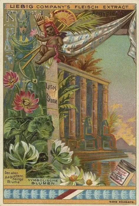 Framed Print : Lotus flower, Ramses II, Egypt