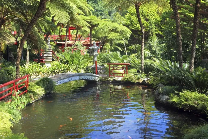 Framed Print : Lovely pond with goldfish. In the depths of the park is visible Chinese gazebo