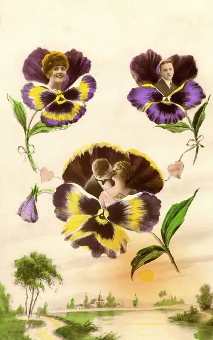 Framed Print : Lovers, assembly with violet flowers