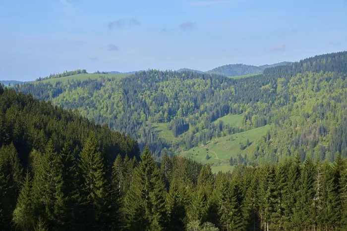 Framed Print : Low mountain landscape, mixed forest Framed Print : Low mountain landscape, mixed forest