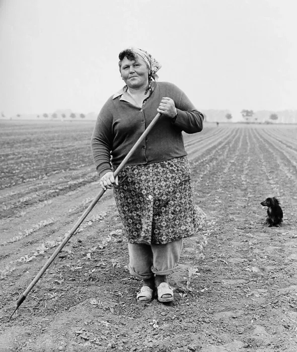 Framed Print : LPG, agricultural collective, farmwoman working in a field