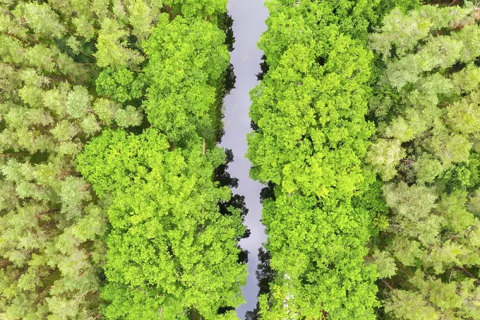 Framed Print : Ludwig-Danube-Main Canal in the forest from above