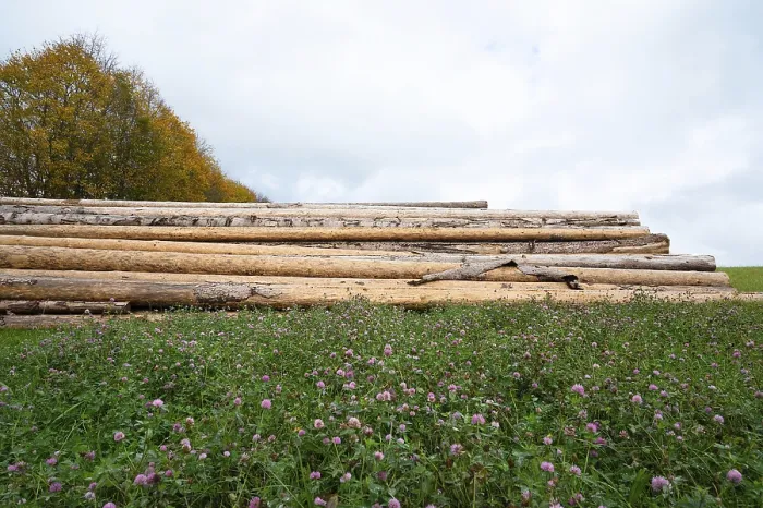 Framed Print : Lumber wood industry, environmental Framed Print : Lumber wood industry, environmental