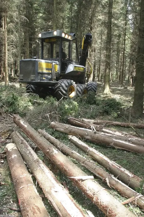 Framed Print : Lumberman working with a Harvester in the forest