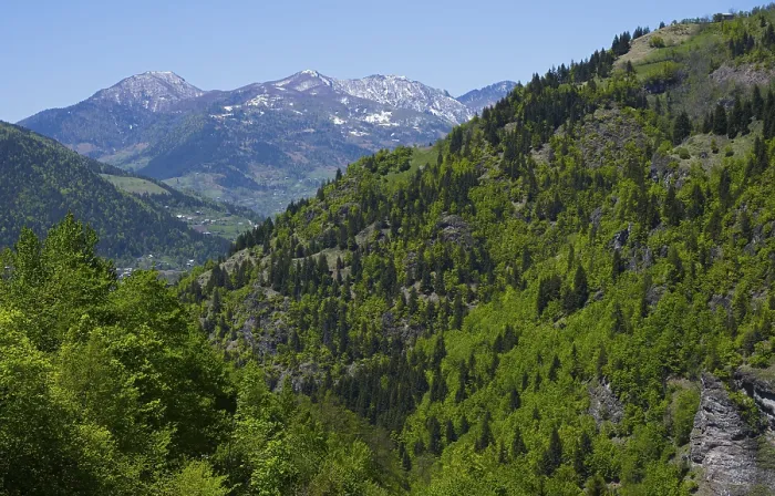Framed Print : Lush forested mountains against clear blue skies and distant peaks