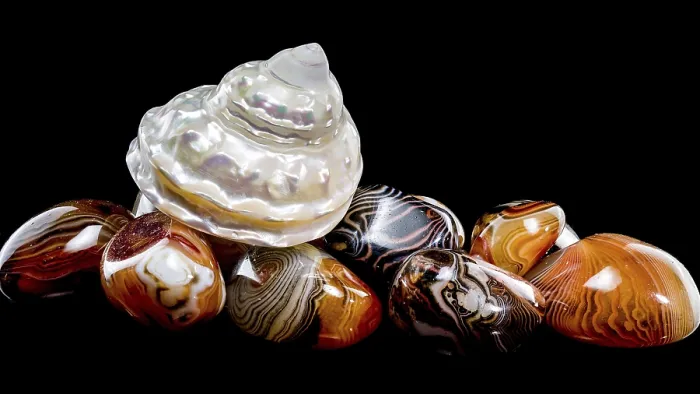 Framed Print : A lustrous pearlized Astraea turbanicum shell rests on a collection of polished agate stones with intricate banding
